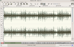 Waveform view [41 kB PNG]